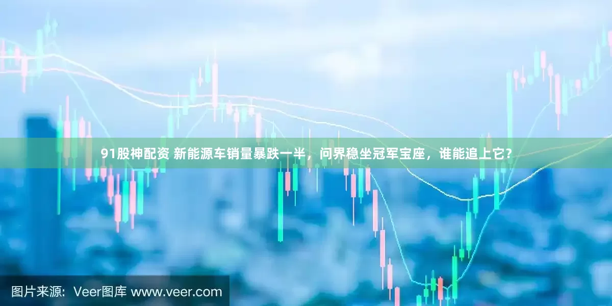 91股神配资 新能源车销量暴跌一半，问界稳坐冠军宝座，谁能追上它？